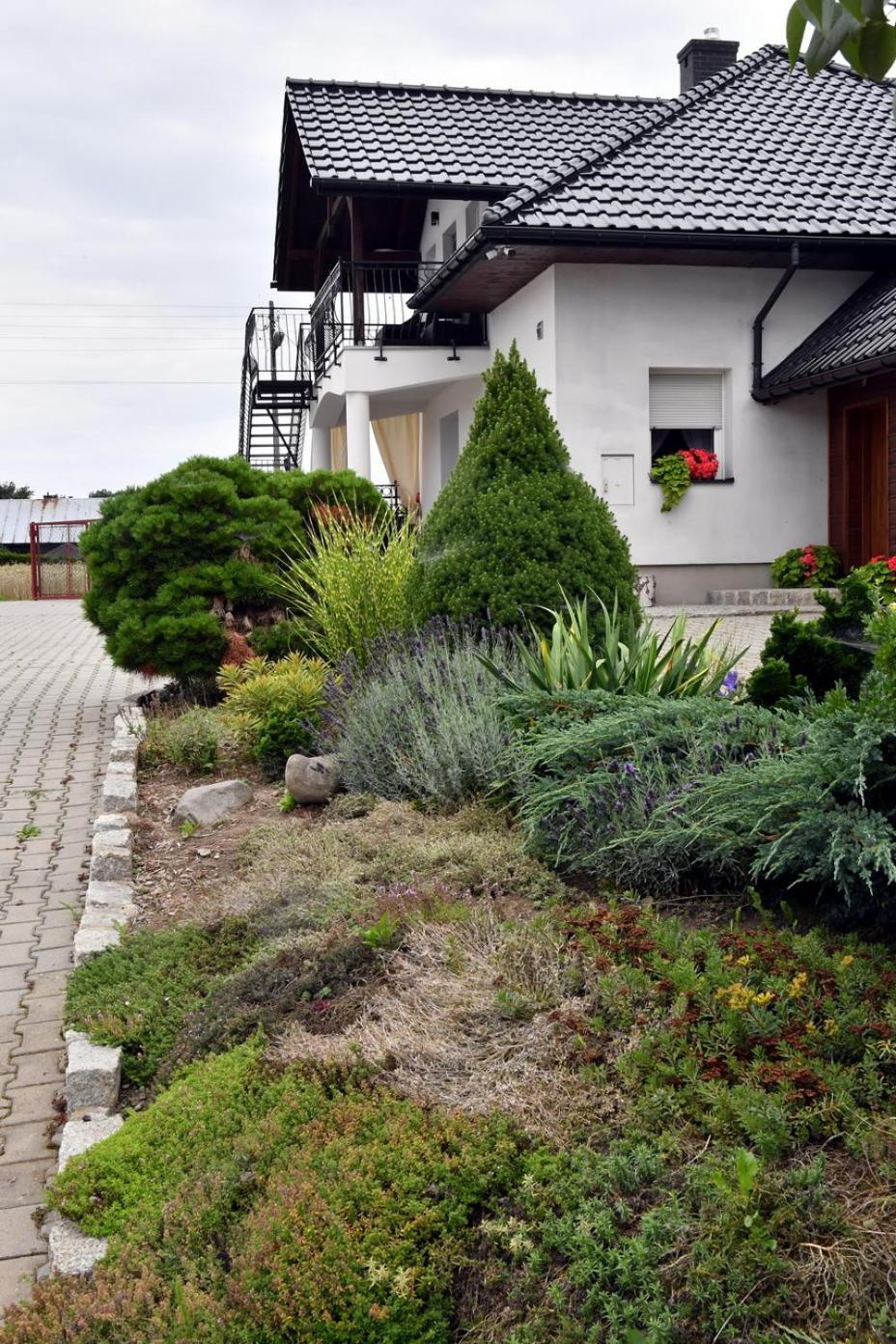 Apartament U Joli Miejsce Zewnętrze zdjęcie